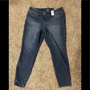 Torrid plus size jegging